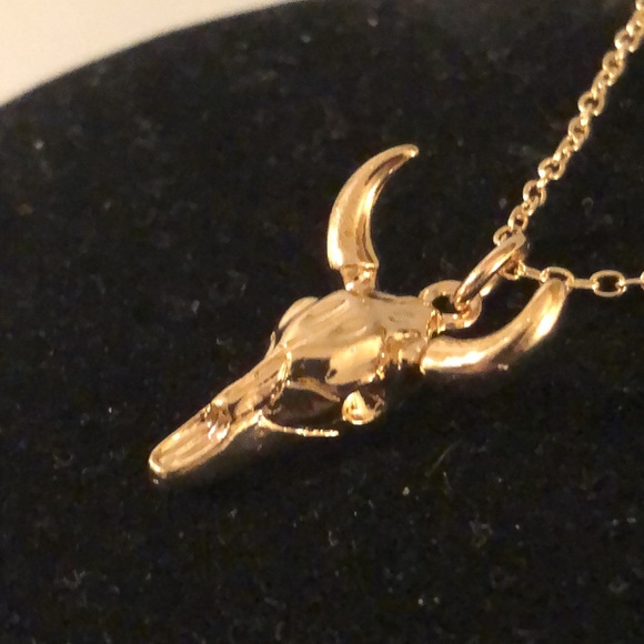 - Western Skull Necklace/Pendant - Picture 7 of 7